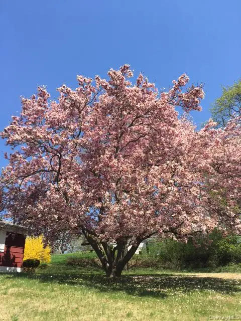 220 Wilbur Boulevard, Poughkeepsie, NY 12603 - Image #2