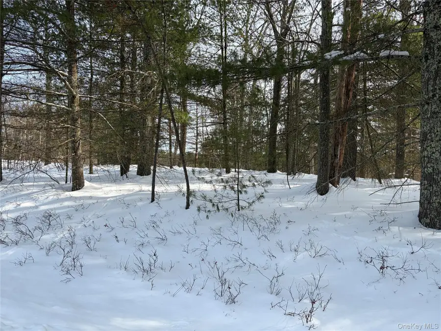 Lot 1 Willow Lane, Glen Spey, NY 12737 - Image #2
