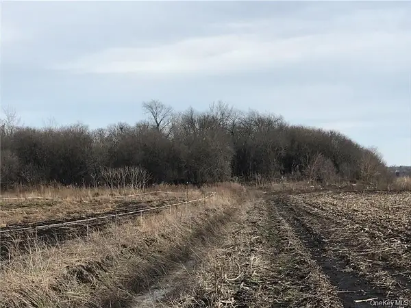 46 Jessup Switch Road, Goshen, NY 10924