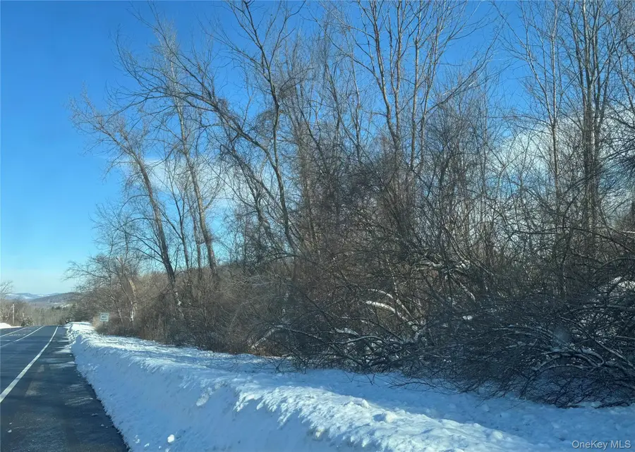 2310 Route 22, Patterson, NY 12563 - Image #2