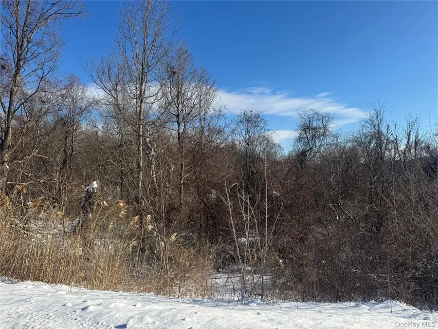 2310 Route 22, Patterson, NY 12563 - Image #3