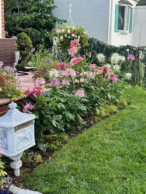 208 Emily Avenue, Elmont, NY 11003 - Image #3