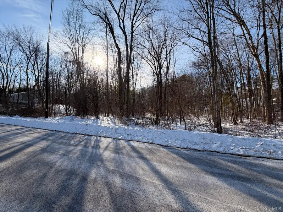 11 White Birch Road, Hyde Park, NY 12538 - #3