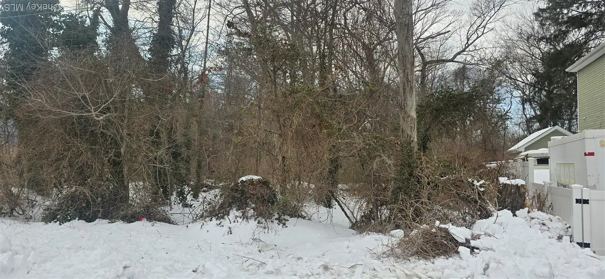 16 Hickory Street, Wyandanch, NY 11798 - #1