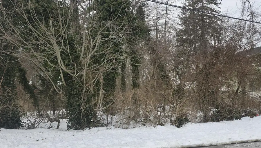 16 Hickory Street, Wyandanch, NY 11798 - #2