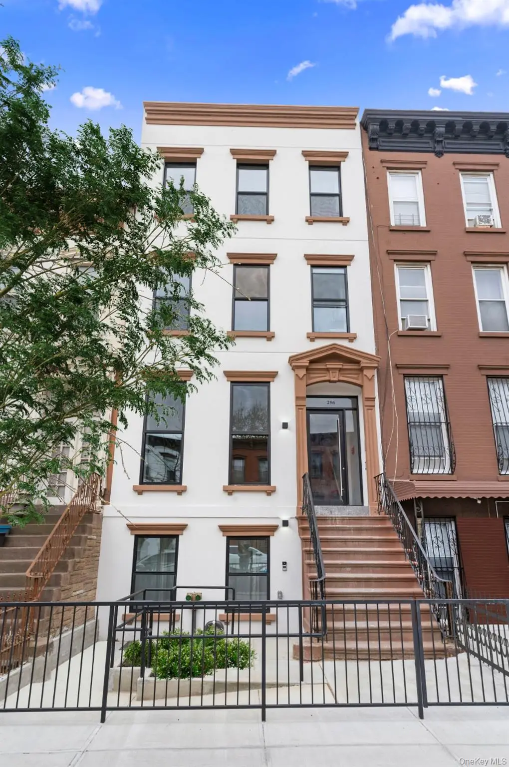 256 Putnam Avenue #1, Brooklyn, NY 11216 - Image #1