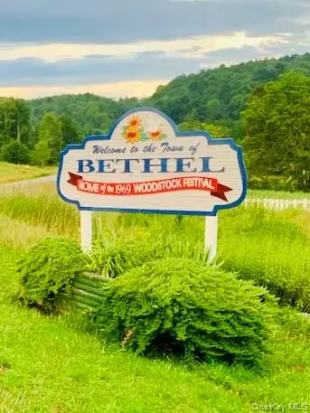 3 Burr Road, Cochecton, NY 12726 - #3