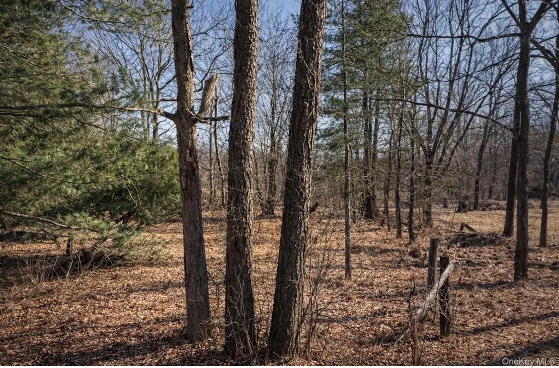 230 Derby Road, Middletown, NY 10940 - #1