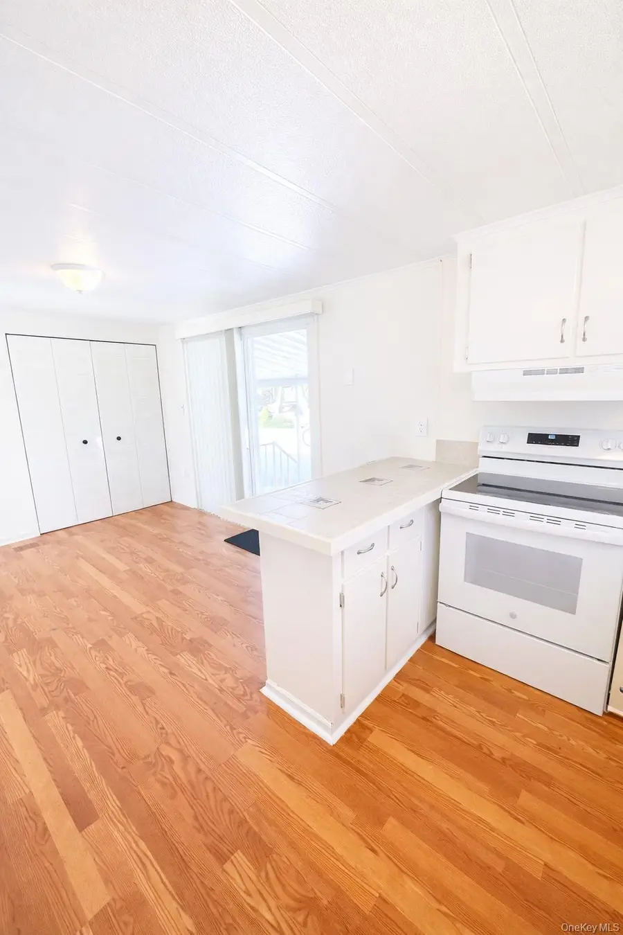 1661 Old Country Road #398, Riverhead, NY 11901 - #3