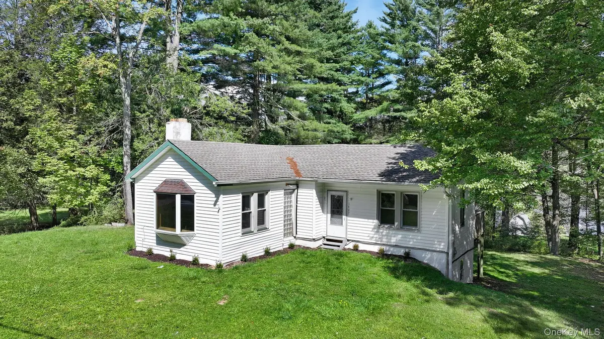 1463 Briscoe Road, Swan Lake, NY 12783 - #1