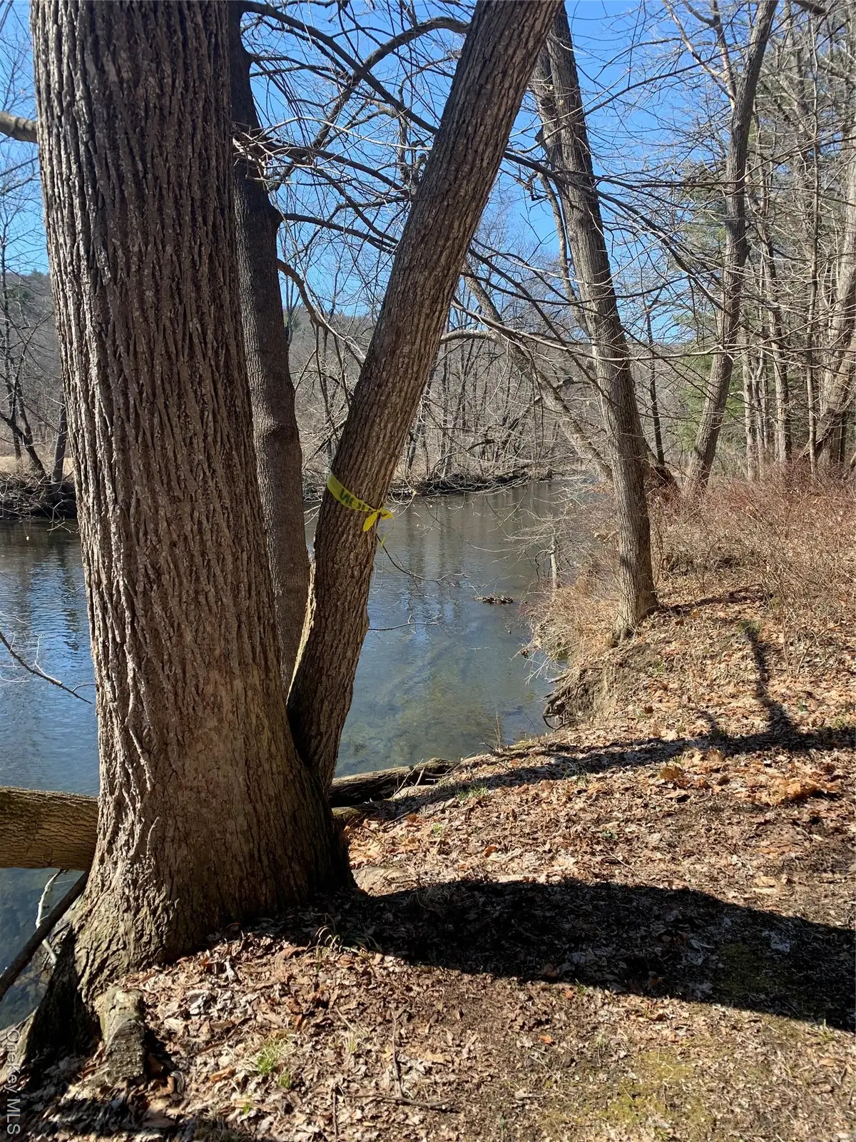 Jackson Corners, Red Hook, NY 12571 - #1