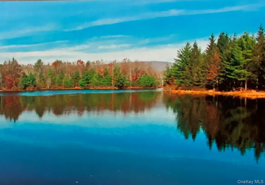 50 Meghan Court, Pine Bush, NY 12566 - #3