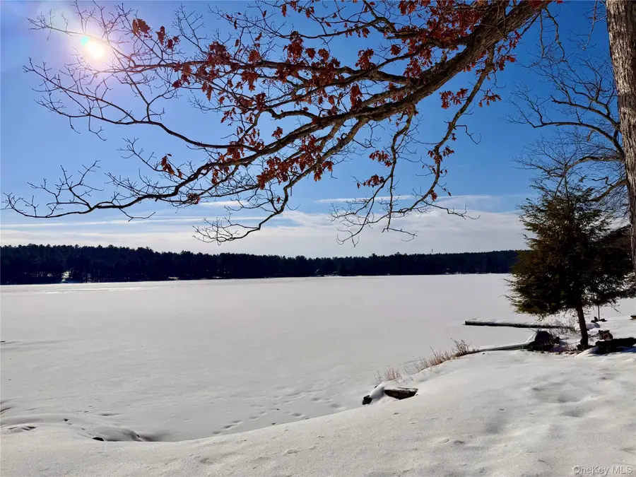 16 Leers Road, Glen Spey, NY 12737 - #2