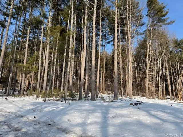 Lot 48.3 & 48.2 High Road, Glen Spey, NY 12737 - #2