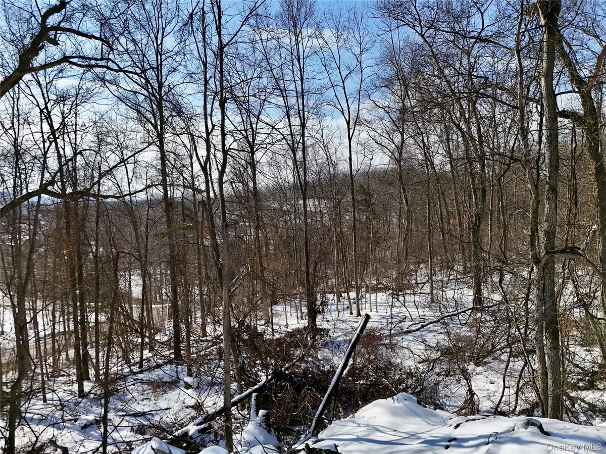 TBD County Route 12, New Hampton, NY 10958 - #1