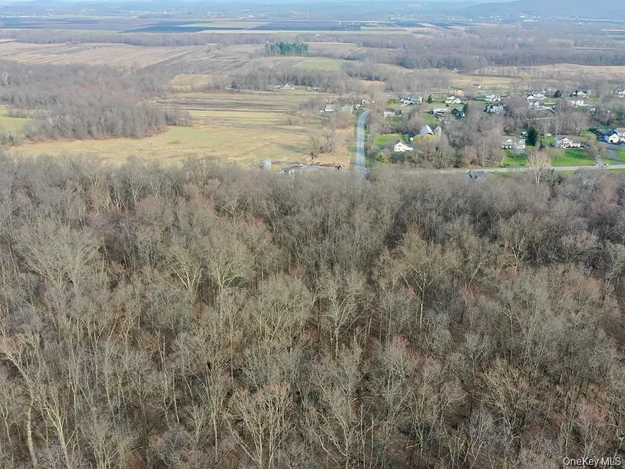 TBD County Route 12, New Hampton, NY 10958 - #2