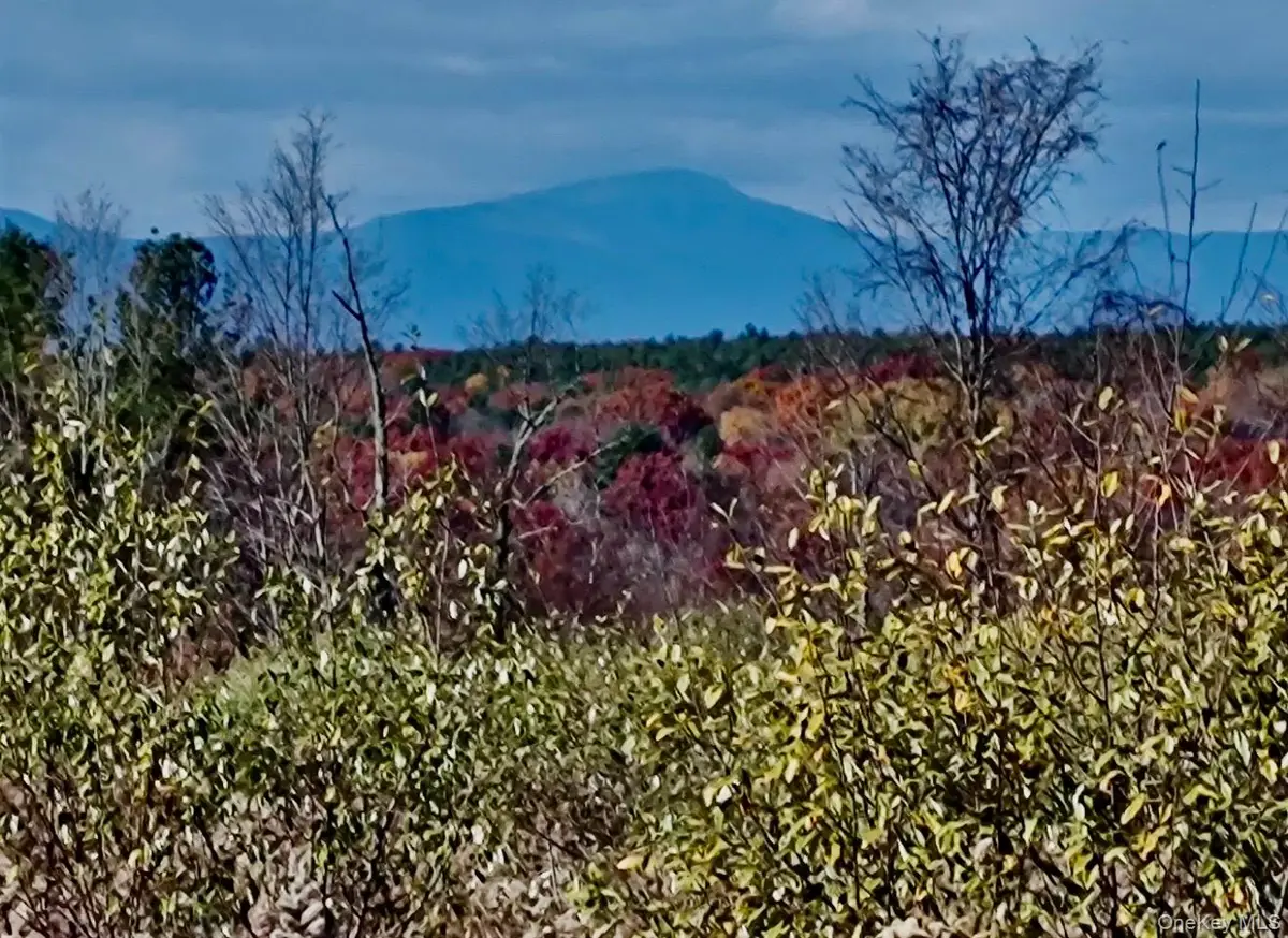 Manor Rock Road, Craryville, NY 12521 - #1