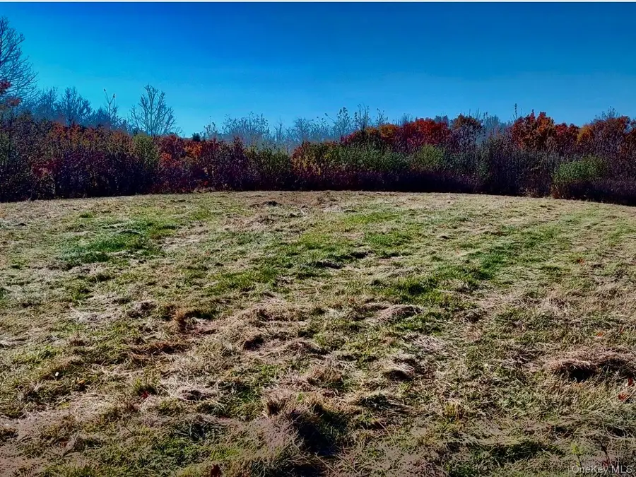 Manor Rock Road, Craryville, NY 12521 - #3