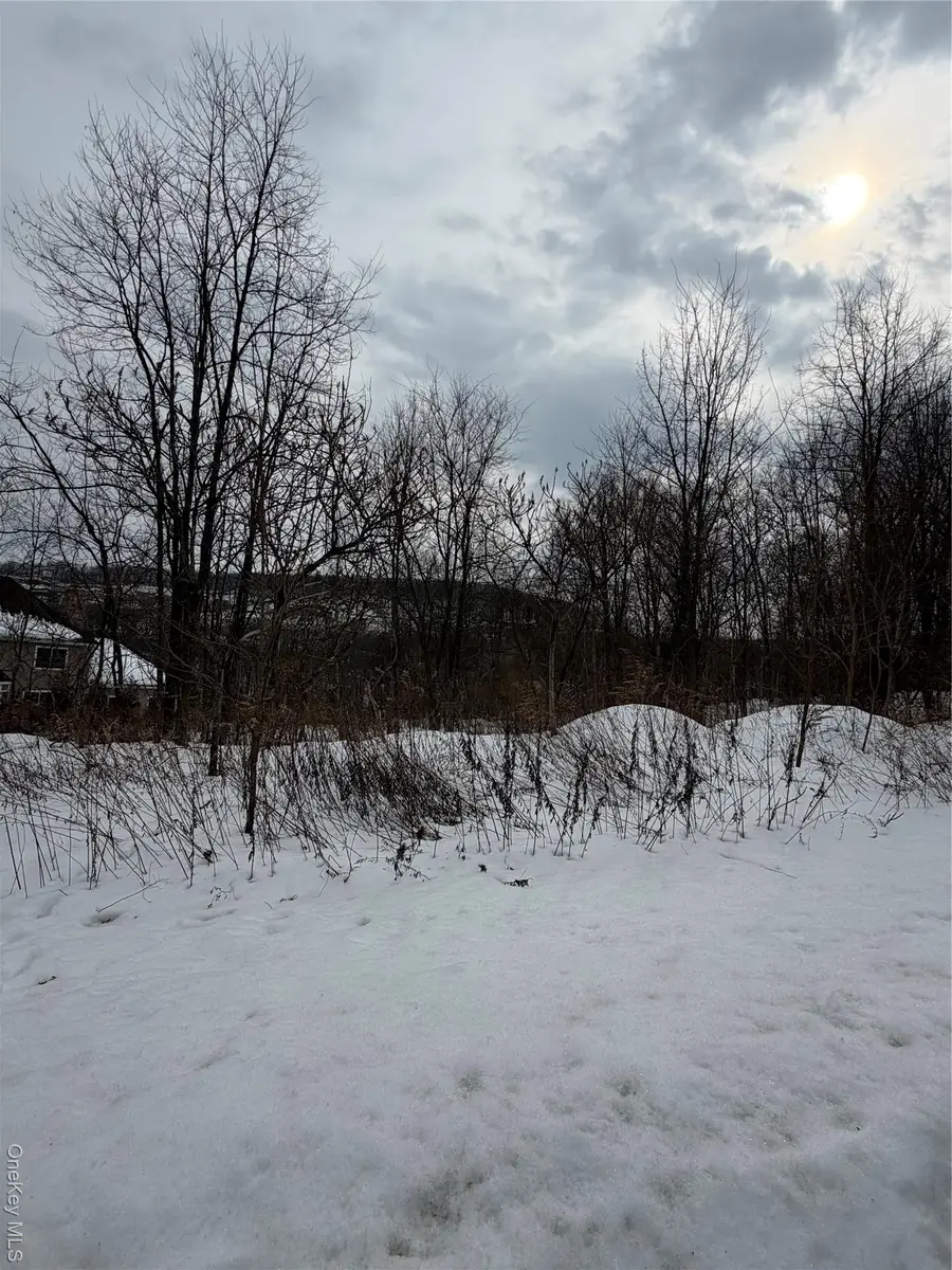 96 Juniper Terrace, Tuxedo Park, NY 10987 - #3