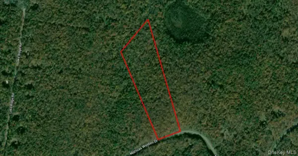 00 Mathias Weiden Drive, Narrowsburg, NY 12764