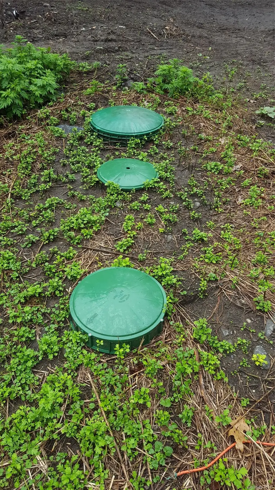 6-8 Grove Street, Godeffroy, NY 12729 - #2