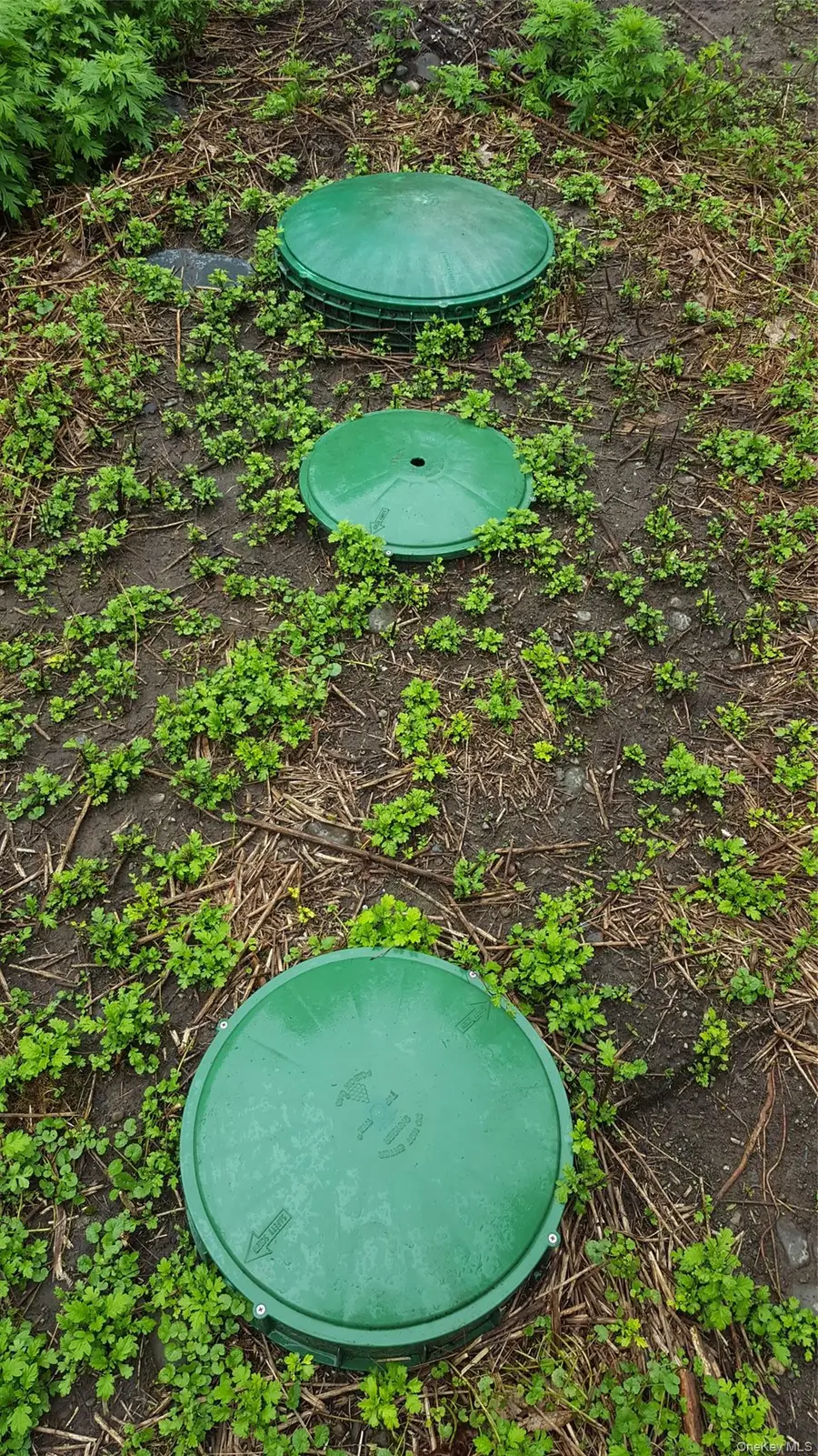 6-8 Grove Street, Godeffroy, NY 12729 - #3