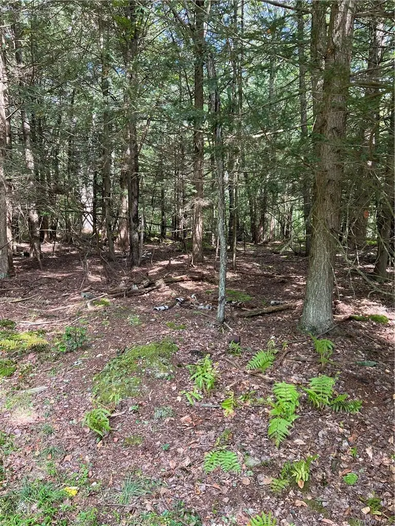 000 Cooper Drive Road, Kauneonga Lake, NY 12783 - #3