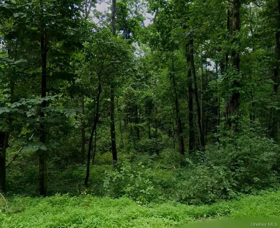 00 Silverlake Road, Rhinebeck, NY 12572 - #2