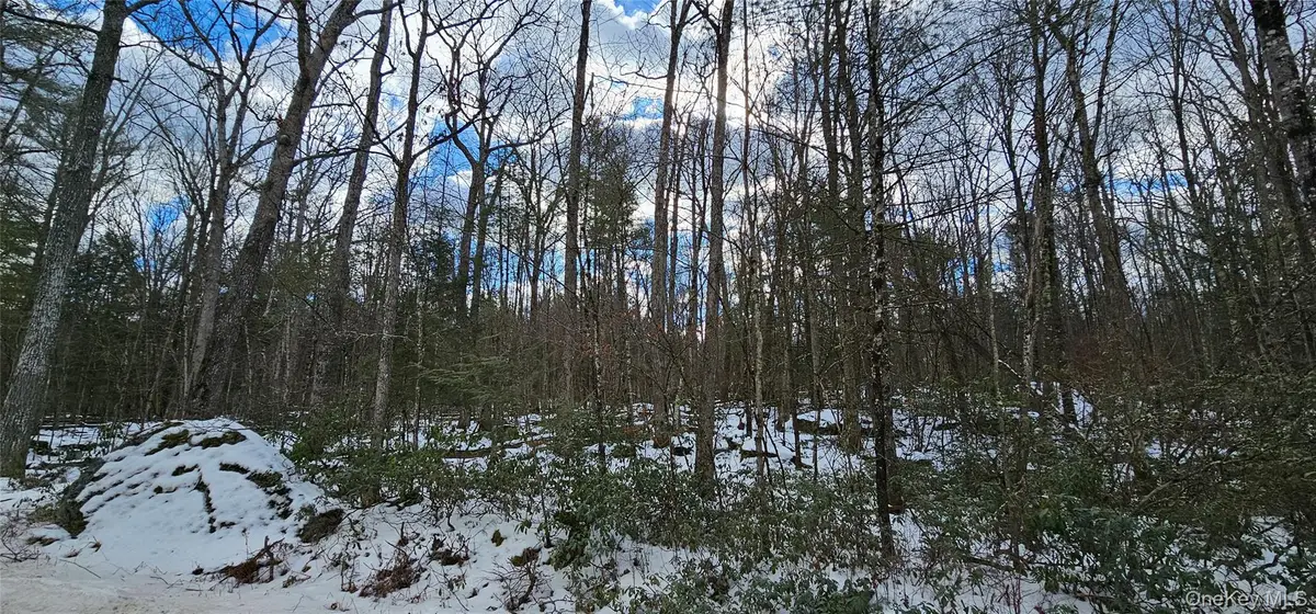 Lot 82 Perry Pond Road, Narrowsburg, NY 12764 - #1