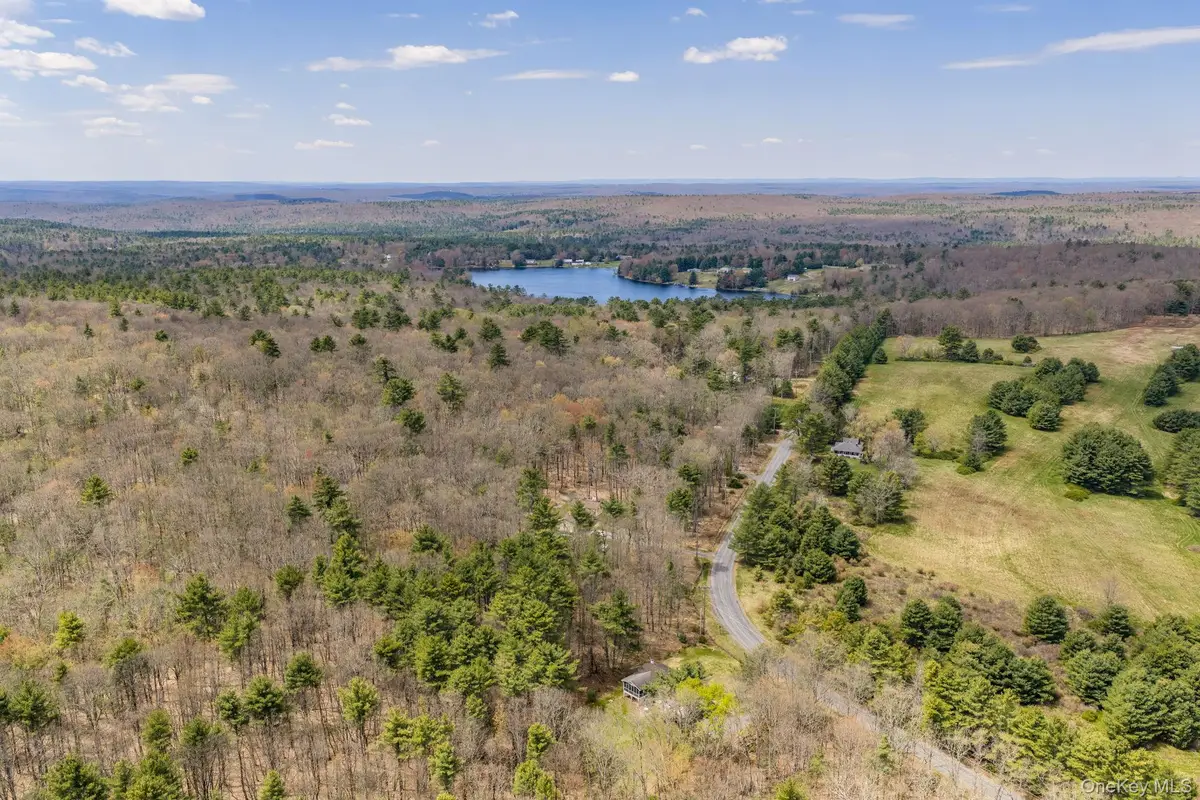 Lot 20.8 Airport Road, Eldred, NY 12732 - #1