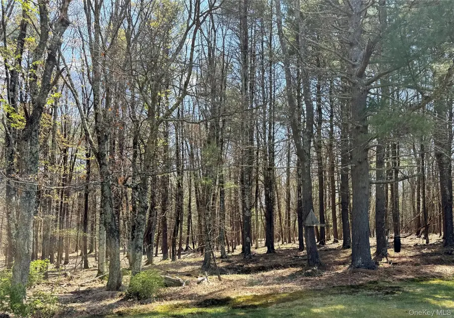 Lot 20.8 Airport Road, Eldred, NY 12732 - #3