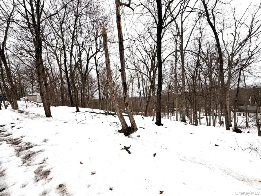 149 Sunset Drive, Wappingers Falls, NY 12590 - #2