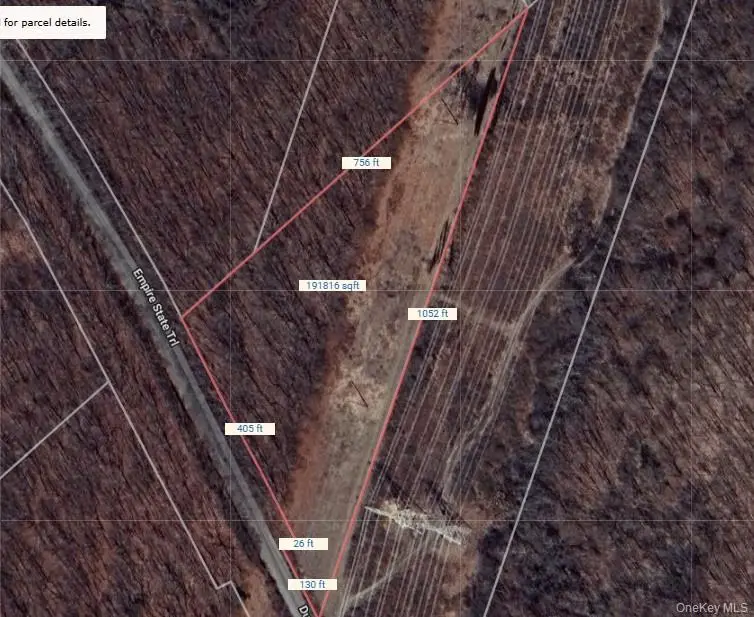 Lot 337829 Rt-376, Wappingers Falls, NY 12590 - #3