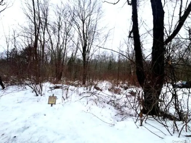 40 Lo Presti Road, Middletown, NY 10940 - #3
