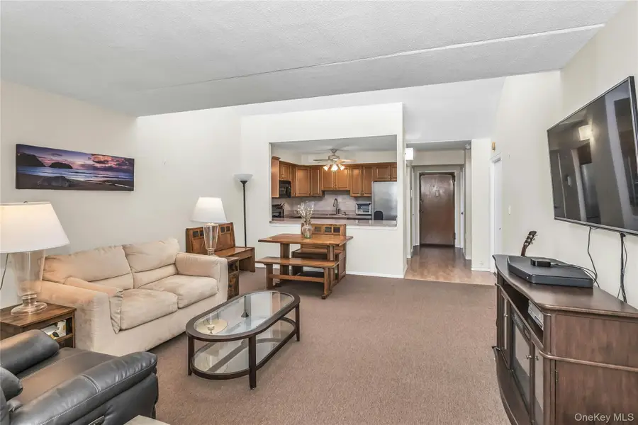 800 Willis Avenue #303, Albertson, NY 11507 - #3