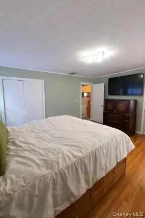 732 Evelyn Avenue, North Bellmore, NY 11710 - #3