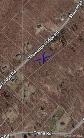 237 Shawanga Lodge Road, Bloomingburg, NY 12721 - #1
