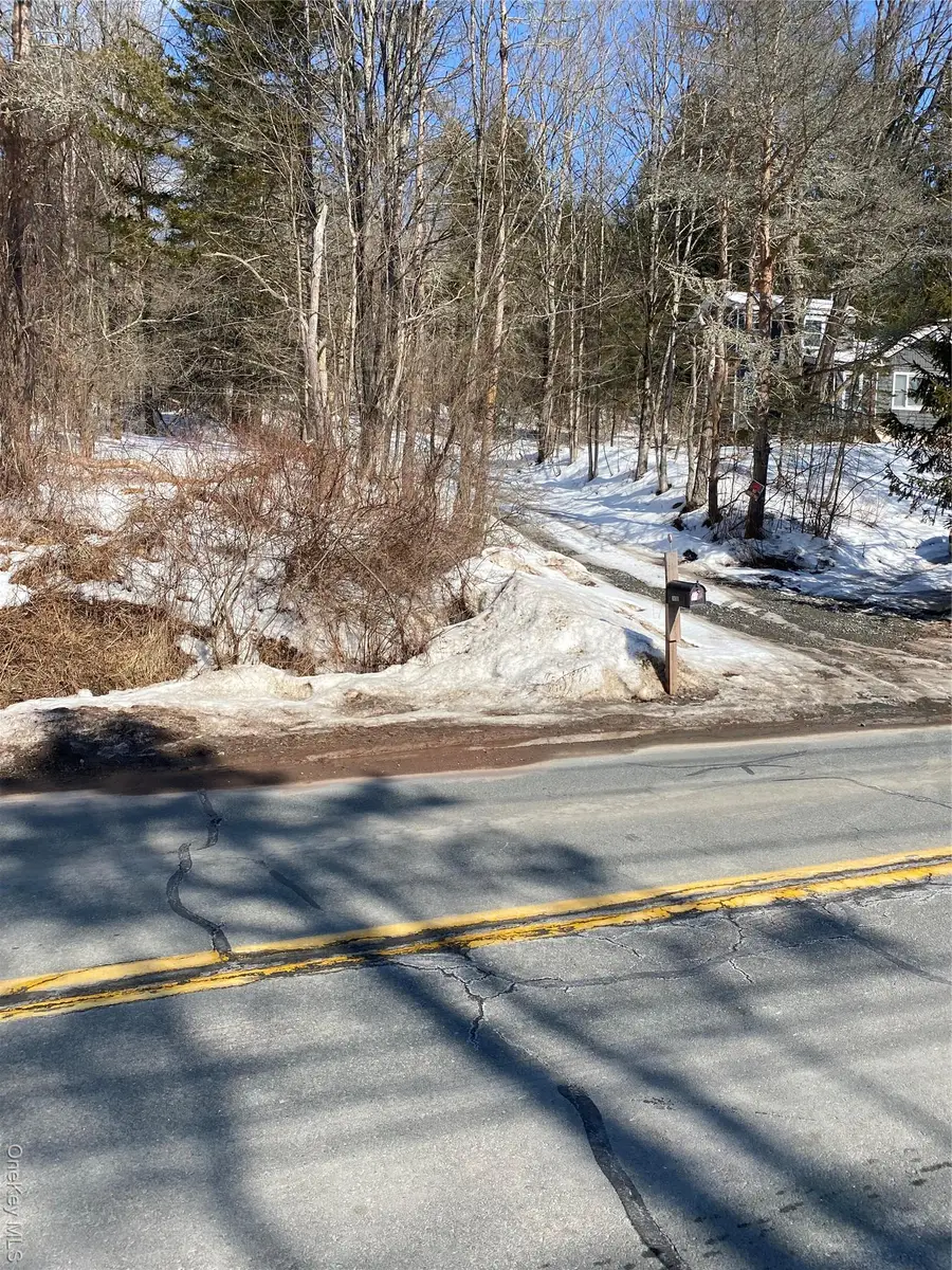 1423 Old Route 17, Roscoe, NY 12776 - #2