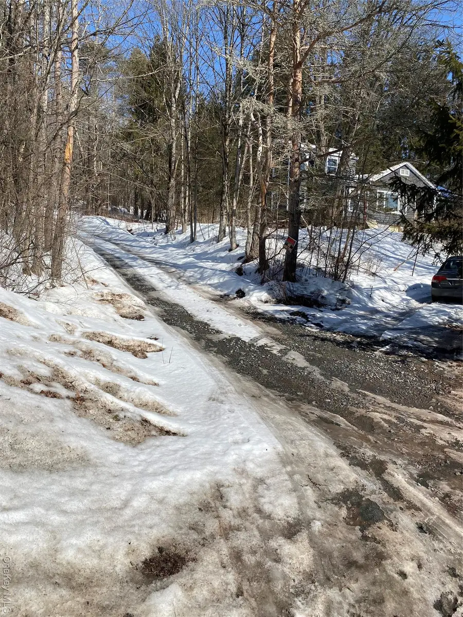 1423 Old Route 17, Roscoe, NY 12776 - #3