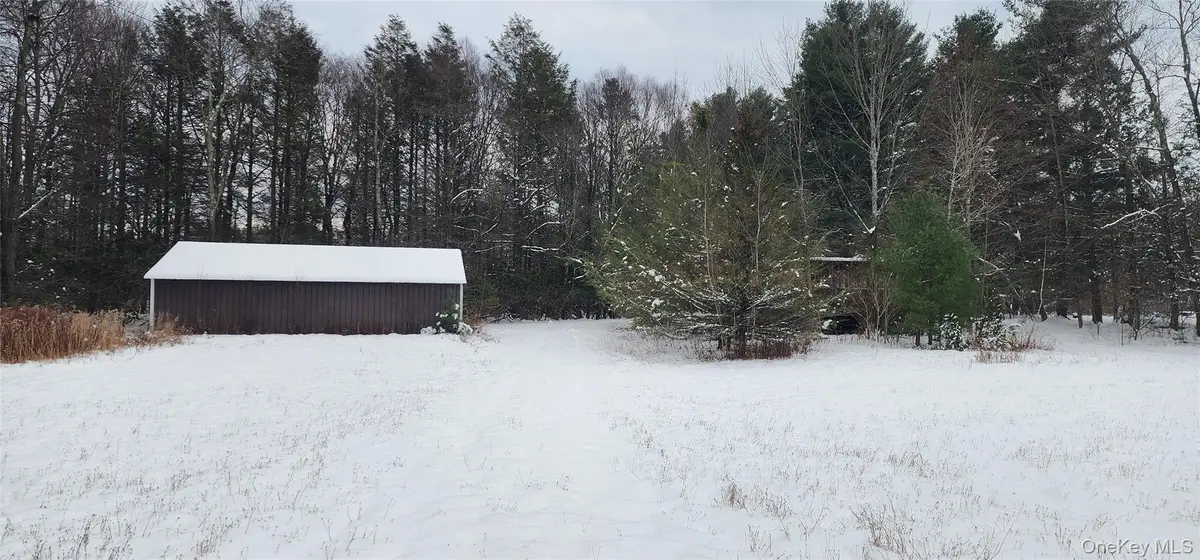 20 Hasbrouck A Road, Loch Sheldrake, NY 12759 - #1