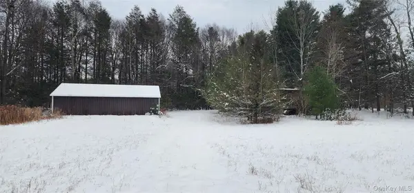 20 Hasbrouck A Road, Loch Sheldrake, NY 12759