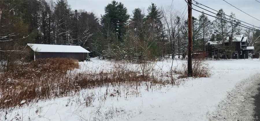 20 Hasbrouck A Road, Loch Sheldrake, NY 12759 - #2