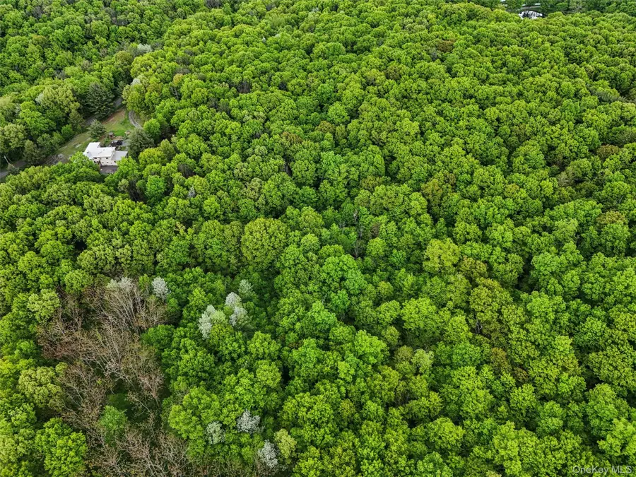 Quarfelt Road, Clinton Corners, NY 12514 - #3