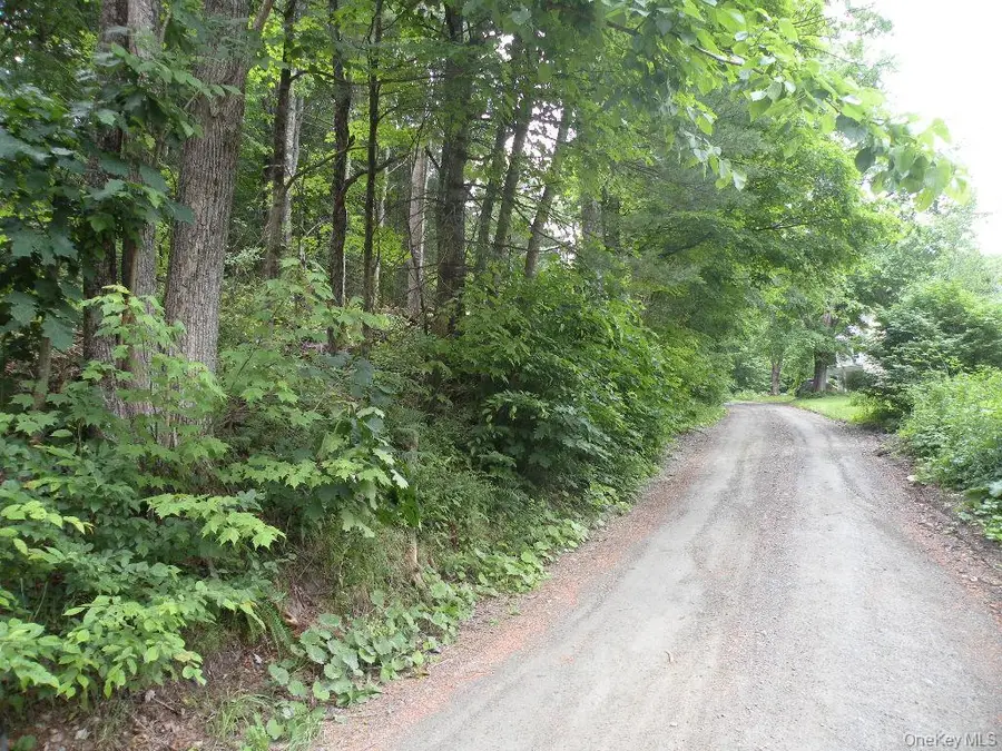 Frenchs Hill Rd, New Lebanon, NY 12125 - #2