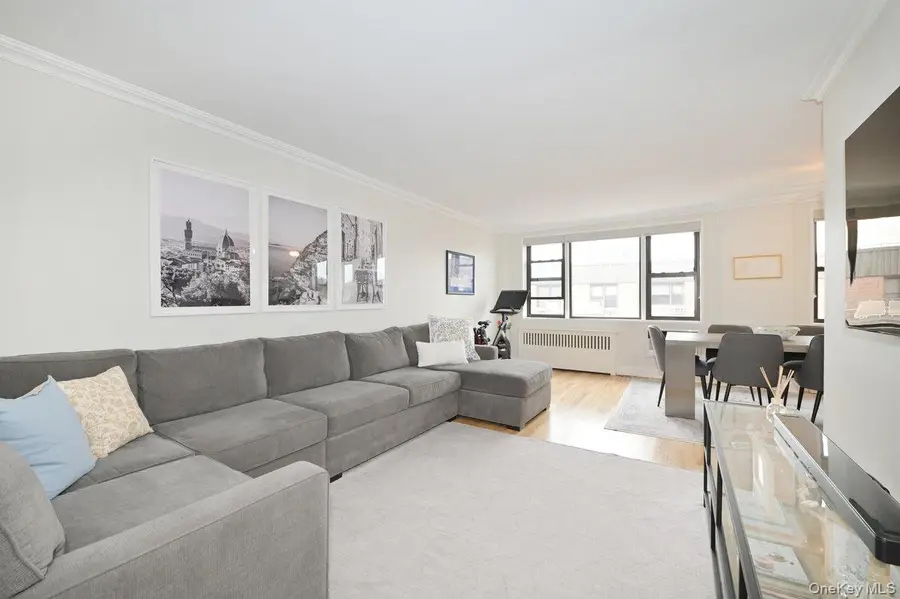 5 Birchwood Court #5J, Mineola, NY 11501 - #2