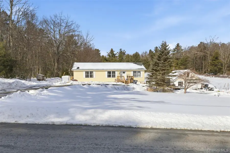 101 Ogden Road, Glen Spey, NY 12737 - #2