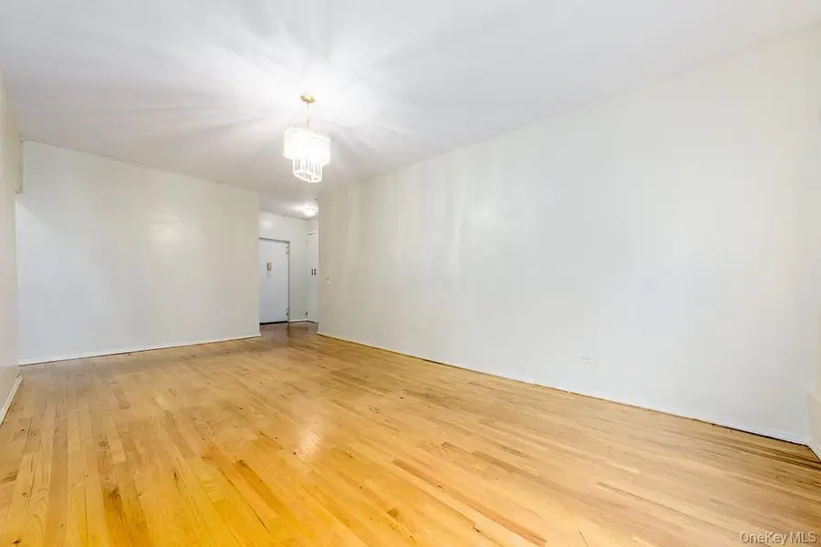 1199 E 53rd Street #1L, Brooklyn, NY 11234 - #3