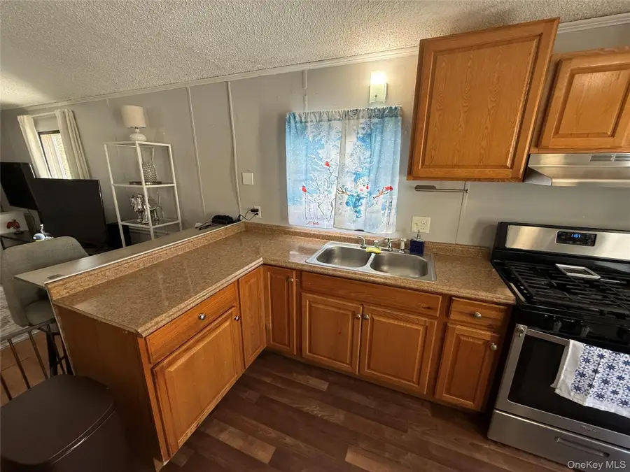 379 Ellen (aka Forest Park) Street, Wallkill, NY 12589 - #3