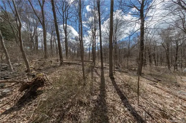 91 Sherwood Hill Road, Brewster, NY 10509