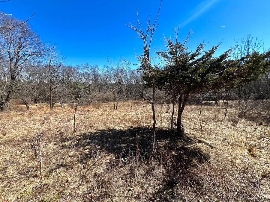 Greenville Turnpike, Port Jervis, NY 12771 - #3